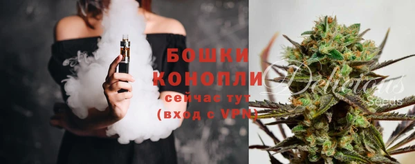 амф Бронницы