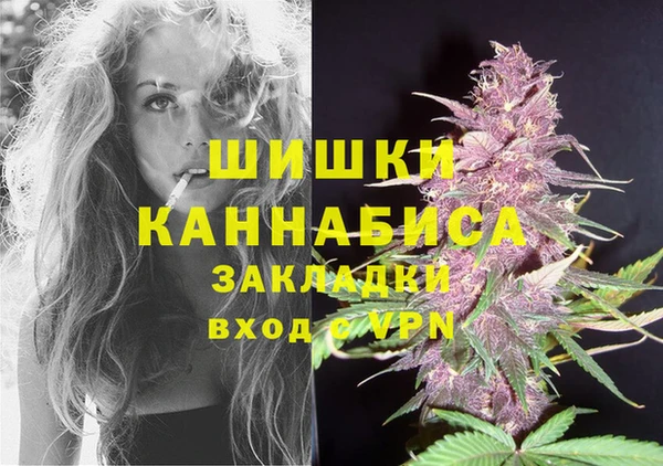 амф Бронницы